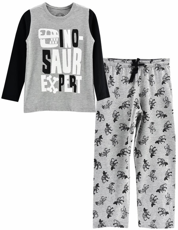 Dinosaur Expert Erkek Çocuk Pijama Seti