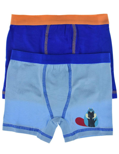 2 li Erkek Çocuk Basic Renkli Boxer