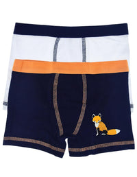 2 li Erkek Çocuk Basic Renkli Boxer